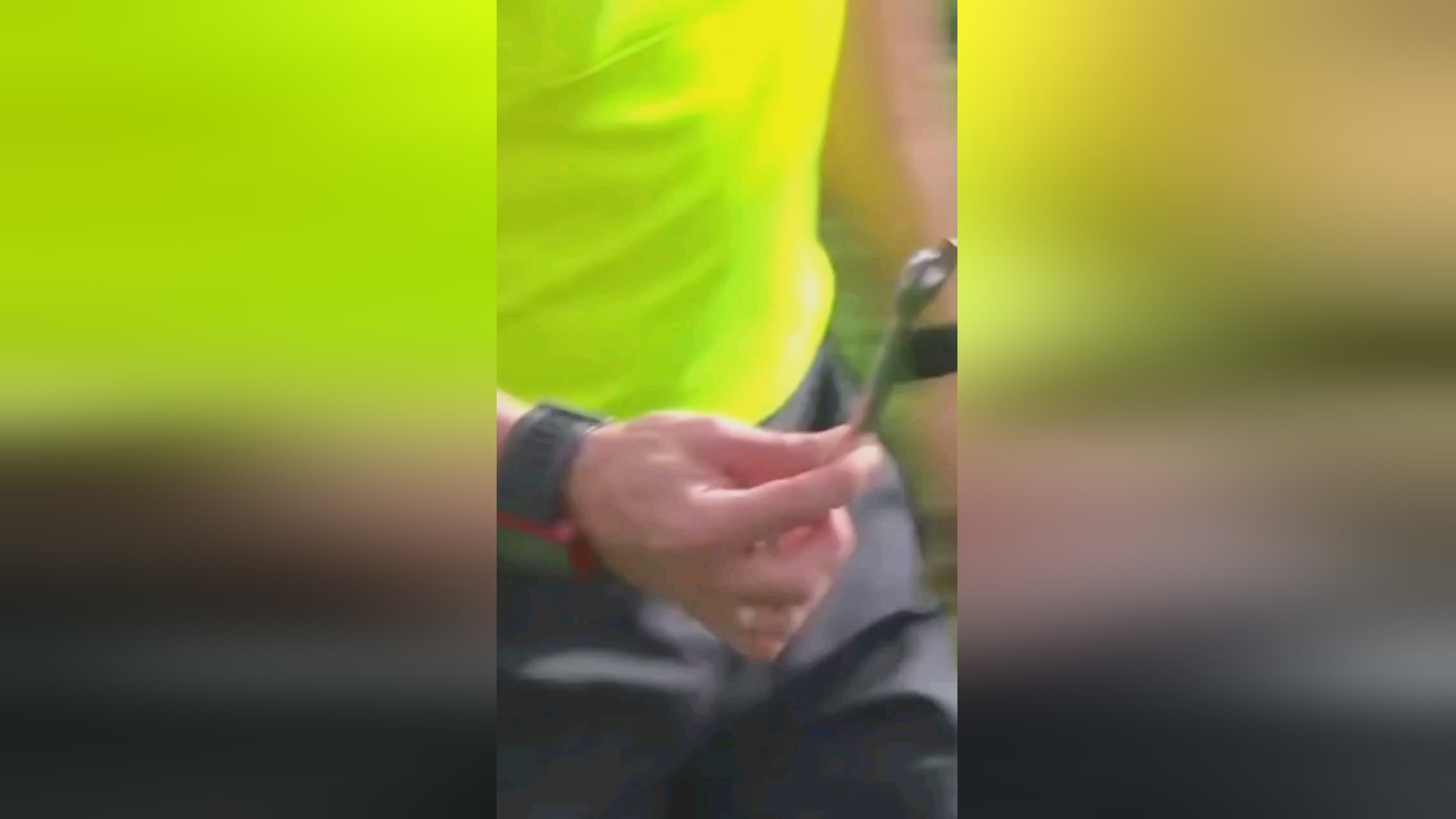 蔚蓝新能源行业标志设计案例
