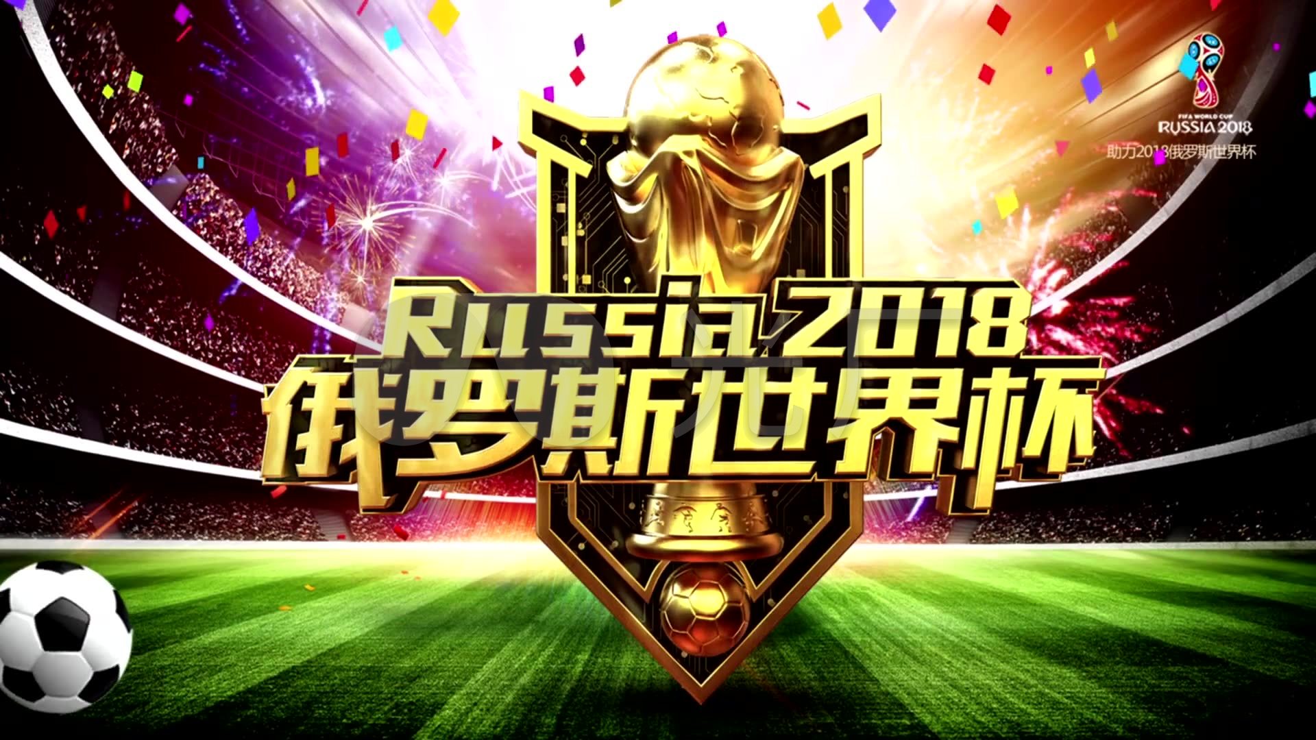 们对